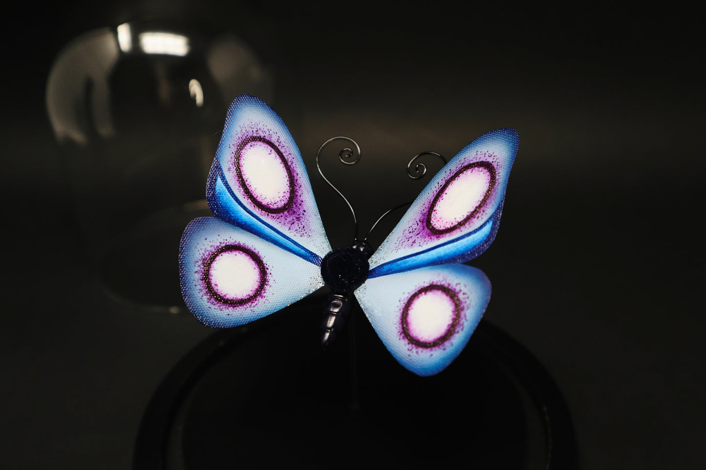 Blue Butterfly Specimen
