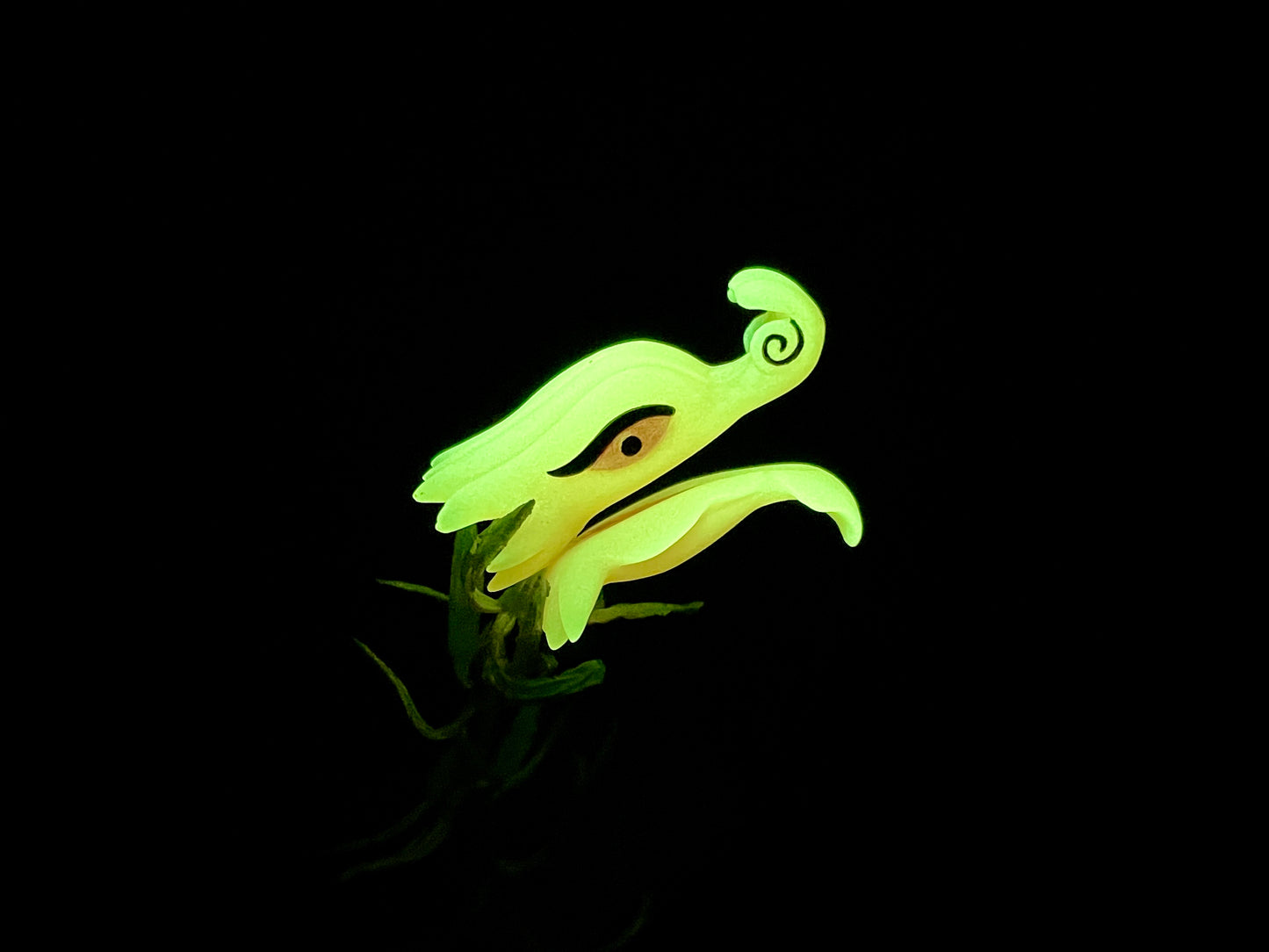 Glow-in-the-Dark Snap Dragon